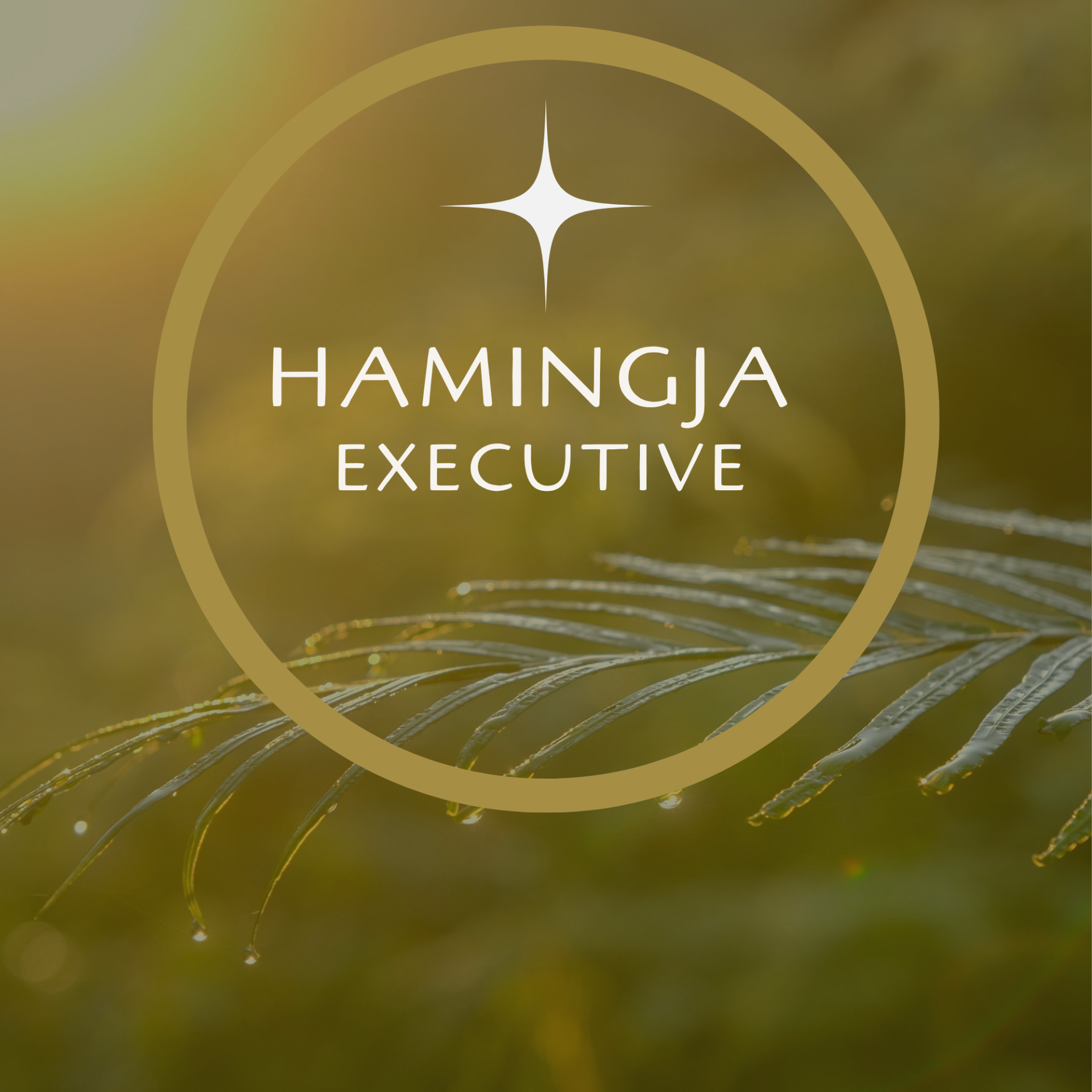 Hamingja Executive -suorituskykyvalmennus teollisuusjohdolle